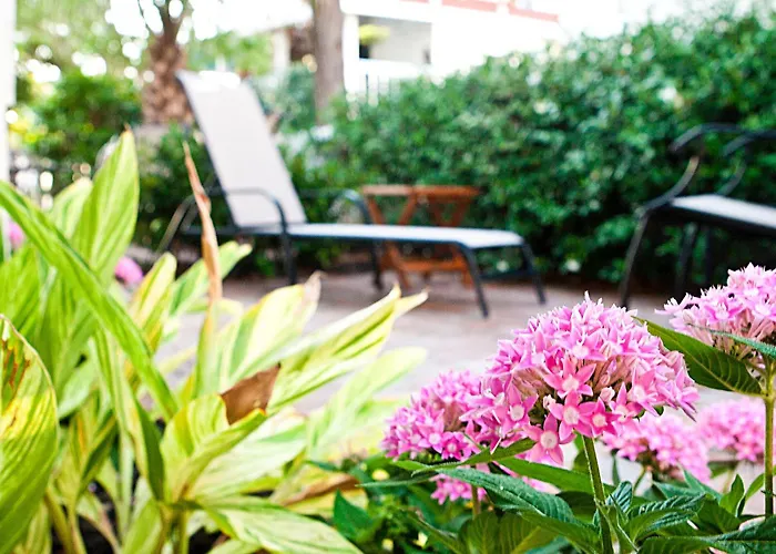 Desoto Beach Gardens